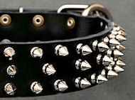 Black Leather Spiked dog Collar