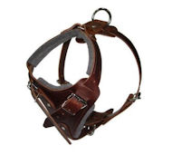 Comfort Padded Dog Harness
