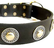 Deluxe Leather Dog Collar with jewelry for schutzhund dogs