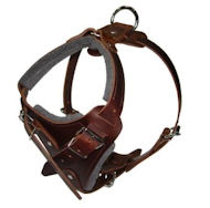 Hands Free Control Dog Harness