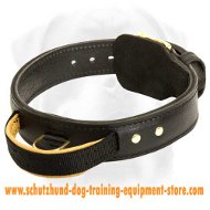 Schutzhund agitation collar 2 ply leather dog collar with handle
