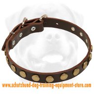 Top Quality Leather Special Dog Collar With Circles