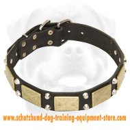 Gorgeous Leather Dog Collar