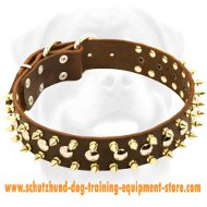 Leather Spiked Studded Dog Collar