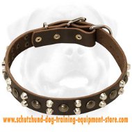 Custom Studded Leather Dog Collar for training dogs