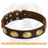 Retro Rulz - Gorgeous Vintage Dog Leather Collar - C103