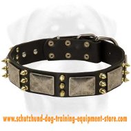 Gorgeous Spiked Leather Dog Collar
