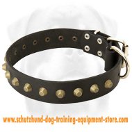 Gorgeous Wide Leather Dog Collar