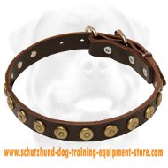 Gorgeous Leather Dog Collar With Dotted Circles