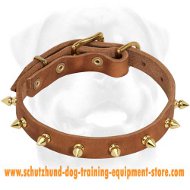 Leather Dog Collar - brass spikes