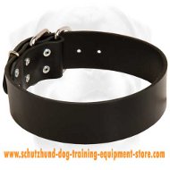 All Weather Collar for Working Dogs