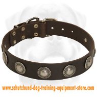 Royal Leather Dog Collar