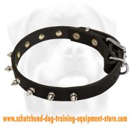 Leather Dog Collar - nickel spikes