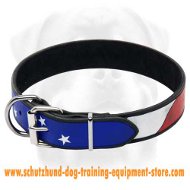 American Flag Leather Collar for Dog