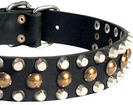 Leather Dog Collars with Studs