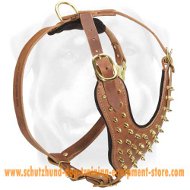 Leather Spiked Dog Harness