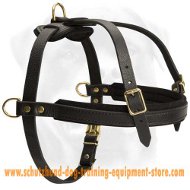 Schutzhund Tracking/Pulling Leather Dog Harness