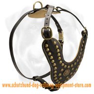 Royal Studded Leather Dog Harness