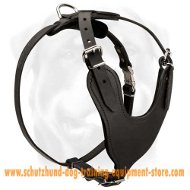 Heavy Duty Dog Harness
