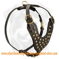 Handmade Studded Leather Walking Dog Harness
