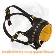 Everyday Leather Dog Muzzle