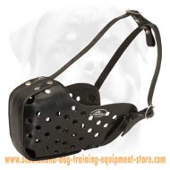 Special Training Leather Dog Muzzle