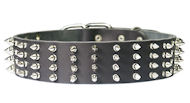 2 inch wide Leather Spiked Dog Collar for working dogs