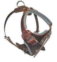 Medium dog Harness for Dog -Leather Harness