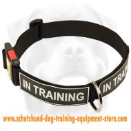 Strong All Weather Nylon Dog Collar