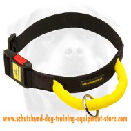 Nylon Dog Collar With Quick Release Buckle