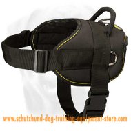 Easy Walking Nylon Dog Harness