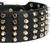 Studded Leather Dog Collar
