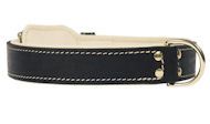 Riveted Leather Dog Collar