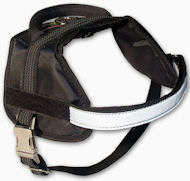 Multifunctional Dog Harness for Training