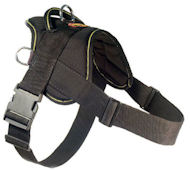 Looking for EzyDog Harness for schutzhund dogs