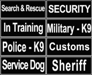 Removable ID Patches For Harnesses And Collars