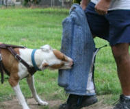 Get French Linen Leg Bite Sleeve for Schutzhund Training