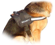 Reflective Dog Harness for Training