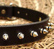 Small Spiked Dog Collar