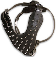 Customize Spike Dog Harness