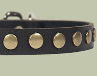Studded Leather Puppy Collar