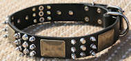 Spiked Leather Dog Collar with brass massive plates&spikes
