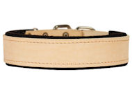 Traditional Leather Dog Collar for training dogs