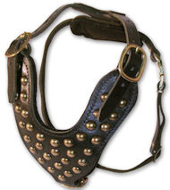 Two-Ply Latigo Dog Harness with Studs