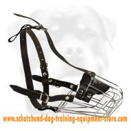 Leather Dog Muzzle Of Light Weight