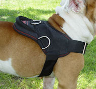 Looking for Big Dog Freedom Harness for schutzhund dogs