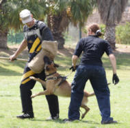 Schutzhund And Sport Bite Sleeve,Bite Sleeves Ideal For Schutzhud And Sport Training,2008 Bite Protection Sleeve - X-Sleeve 