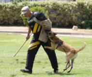 Schutzhund And Sport Bite Sleeve,Bite Sleeves Ideal For Schutzhud And Sport Training,2008 Bite Protection Sleeve - X-Sleeve 