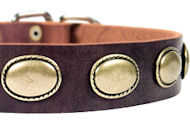 High Quality Leather Dog Collar