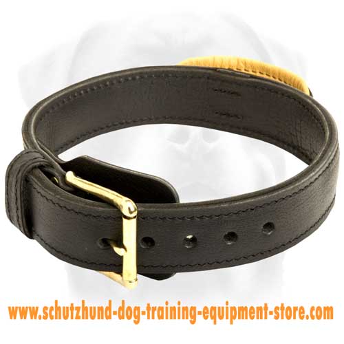 Reliable Leather Dog Collar